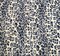 1 Yard Lace Animal Print Fabric/Navy Ivory, 50/52" Wide Lightweight Apparel Lace